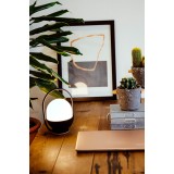 FARO 01016 | Take-FA Faro stolna svjetiljka 20cm 1x LED 100lm 2700K crno mat, bijelo