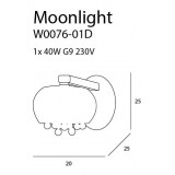 MAXLIGHT W0076-01D | MoonlightM Maxlight zidna svjetiljka 1x G9 krom, prozirno