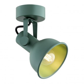 ARGON 8299 | Lenora Argon spot svjetiljka elementi koji se mogu okretati 1x E14 zeleno