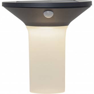 EGLO 900243 | Corbezzola Eglo zidna svjetiljka sa senzorom solarna baterija 1x LED 3000K IP44 grafit, opal