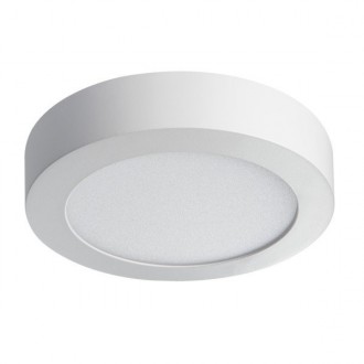 KANLUX 28948 | Carsa Kanlux zidna, stropne svjetiljke LED panel okrugli 1x LED 780lm 4000K bijelo