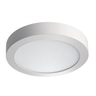 KANLUX 28949 | Carsa Kanlux zidna, stropne svjetiljke LED panel okrugli 1x LED 1260lm 4000K bijelo