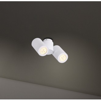 MAXLIGHT C0113 | Barro Maxlight stropne svjetiljke svjetiljka elementi koji se mogu okretati 2x G10 bijelo