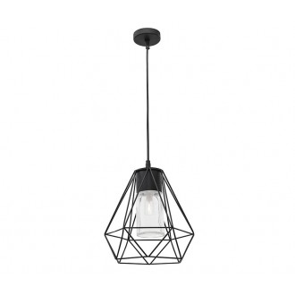 NOVA LUCE 870445 | Isidora Nova Luce visilice svjetiljka 1x E27 IP54 crno, prozirno